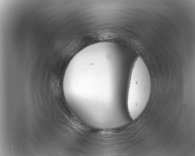 X0000061150327200511181039