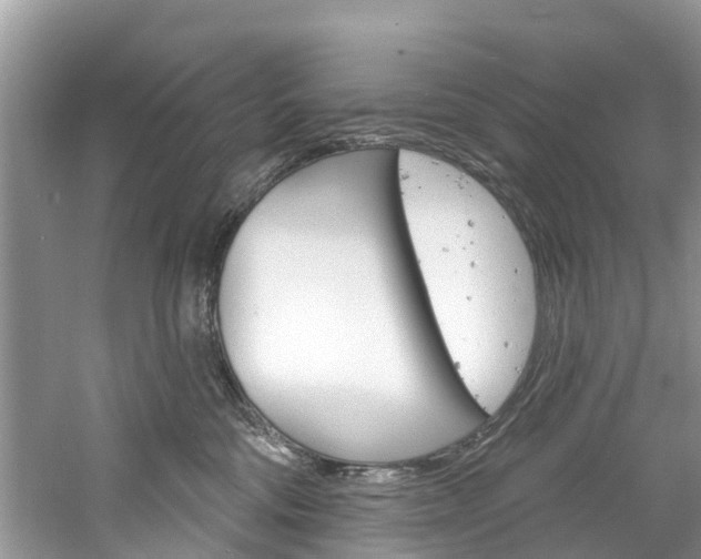 X0000061150330200511181039