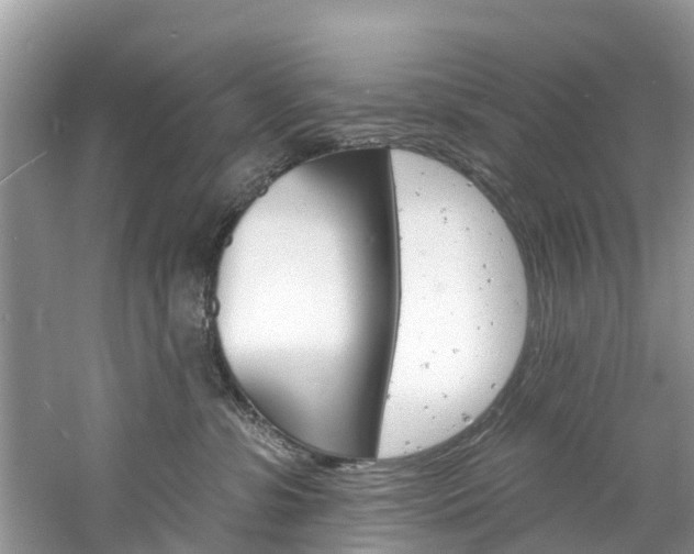 X0000061150331200511181039