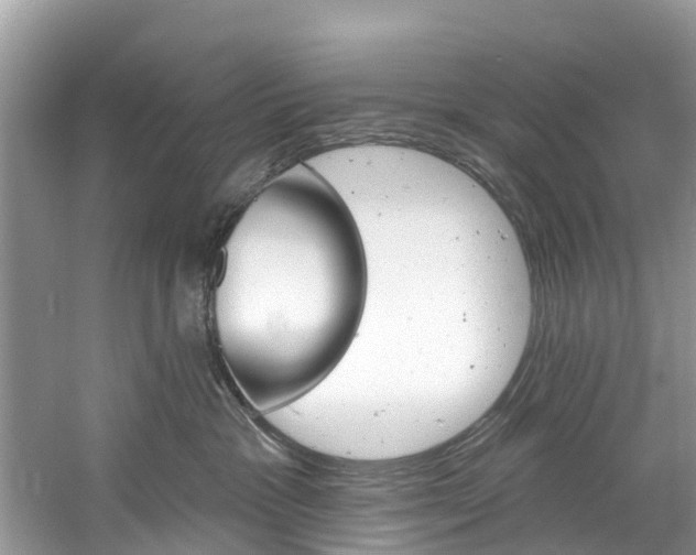 X0000061150333200511181039