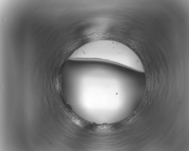 X0000061150335200511181039