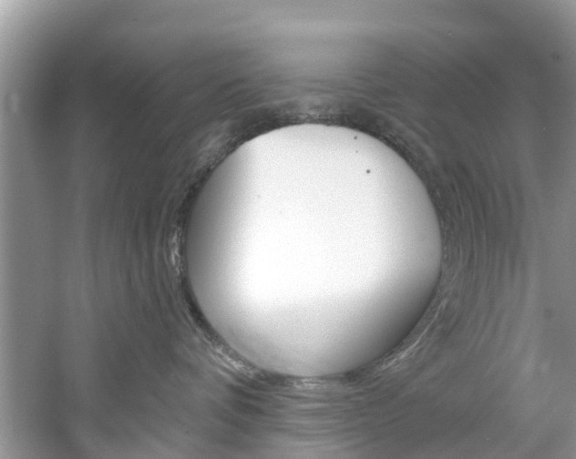 X0000061150336200511181039