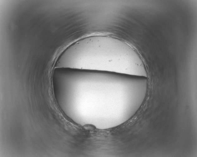 X0000061150337200511181038