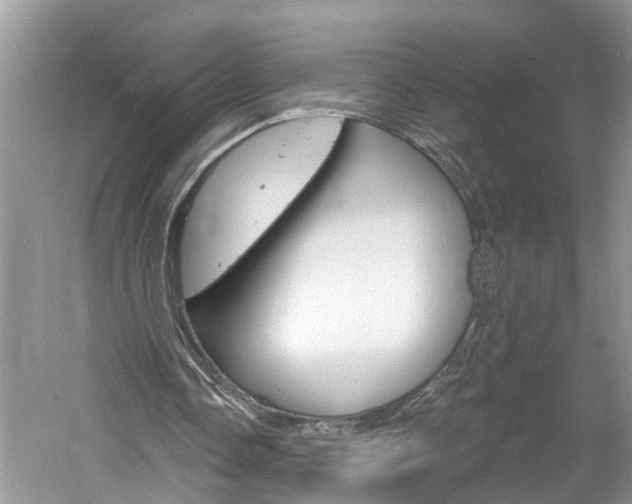 X0000061150338200511181038