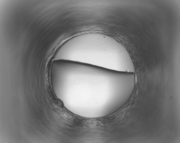 X0000061150339200511181038