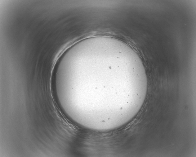 X0000061150340200511181038