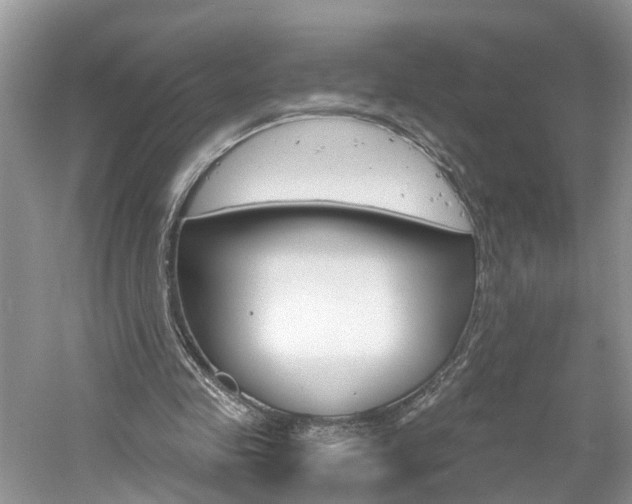 X0000061150341200511181038