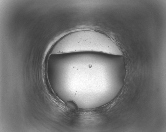 X0000061150342200511181038