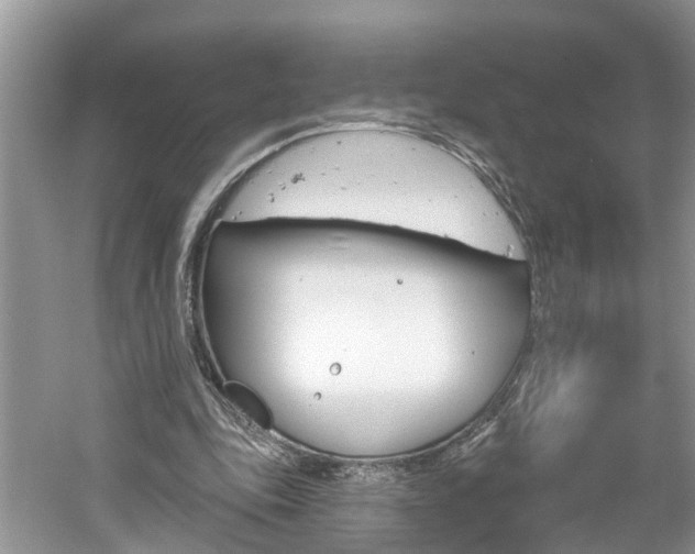 X0000061150343200511181038