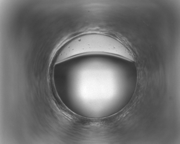 X0000061150344200511181038