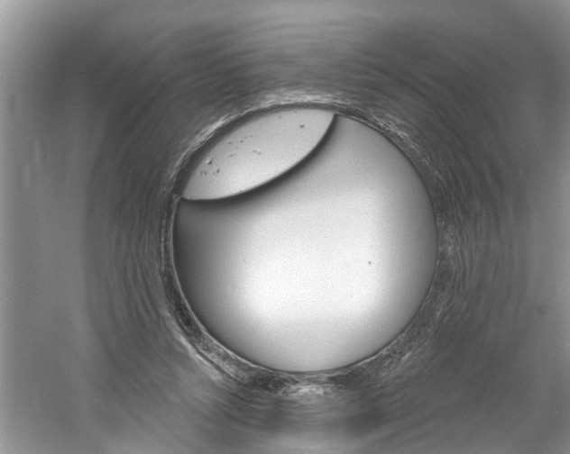 X0000061150352200511181039