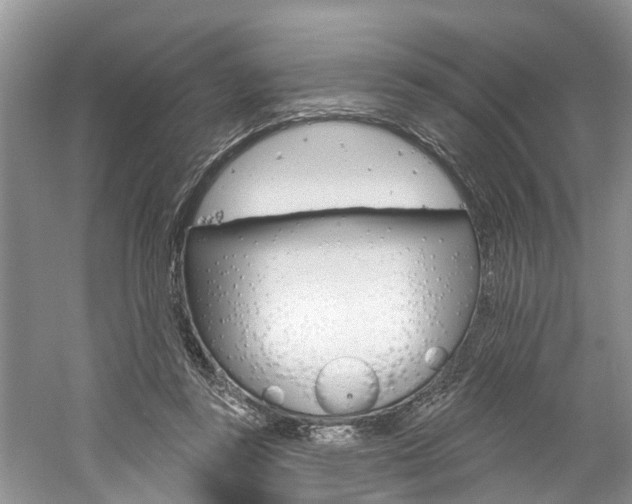 X0000061150355200511181039