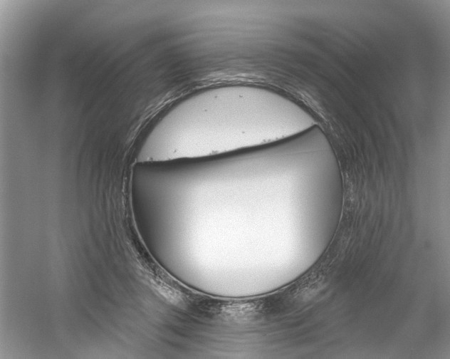 X0000061150357200511181039