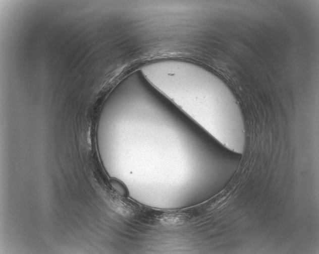 X0000061150358200511181039