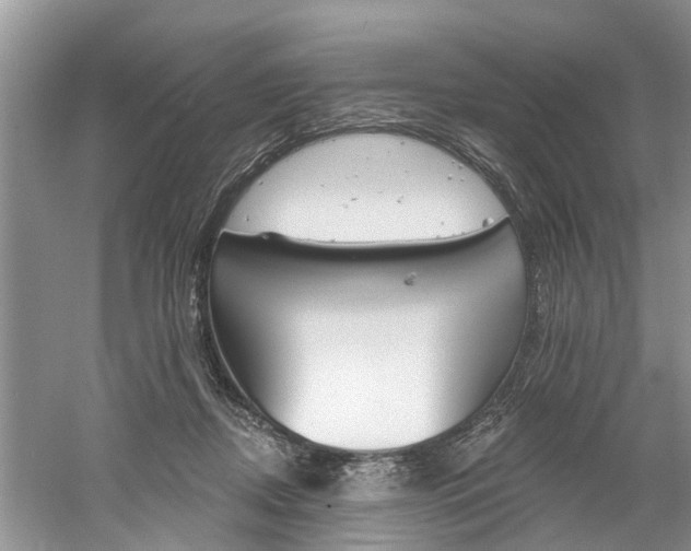 X0000061150362200511181039