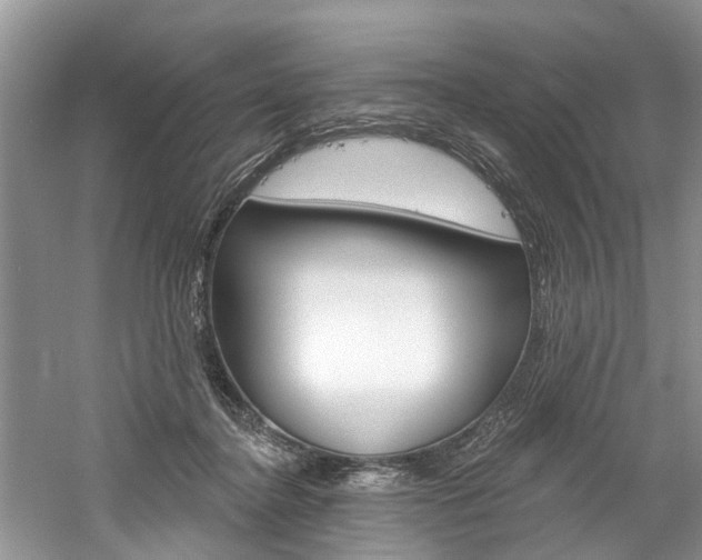 X0000061150364200511181039