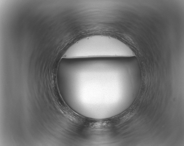 X0000061150366200511181039