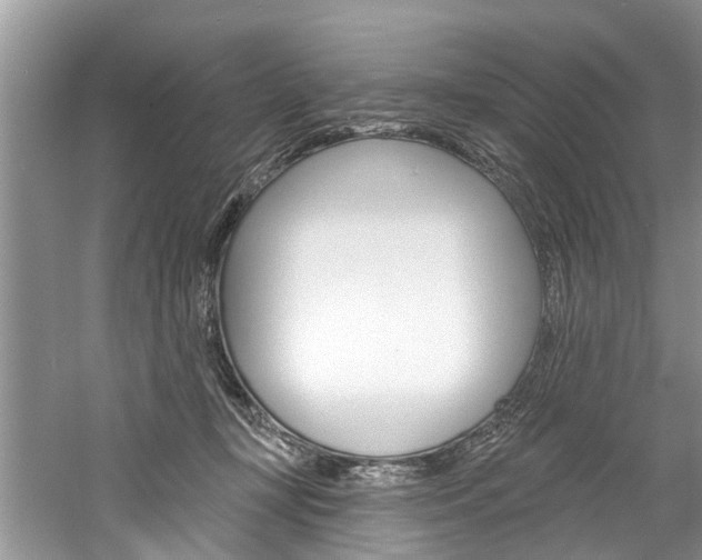 X0000061150367200511181039