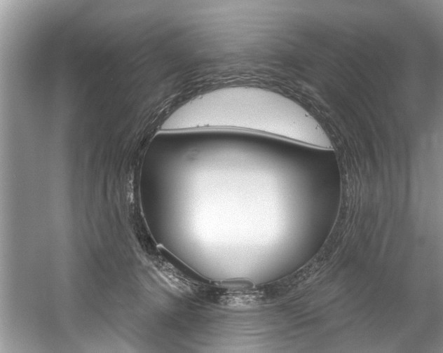 X0000061150368200511181039