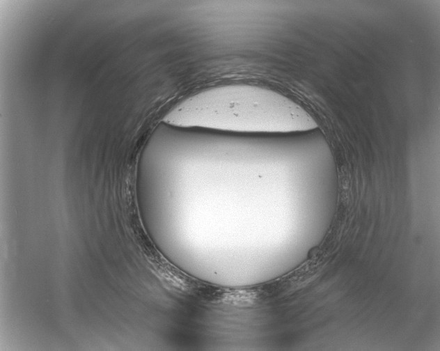 X0000061150369200511181039