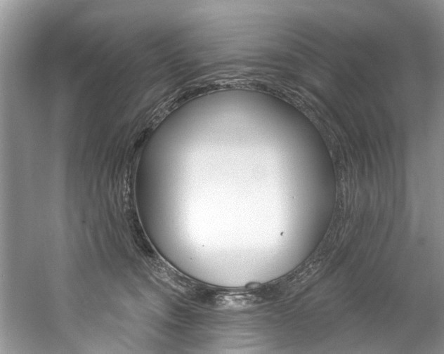 X0000061150372200511181039