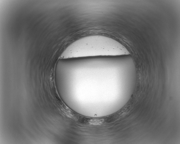 X0000061150373200511181039