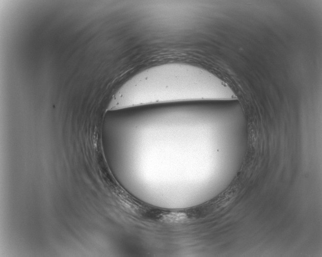 X0000061150374200511181039