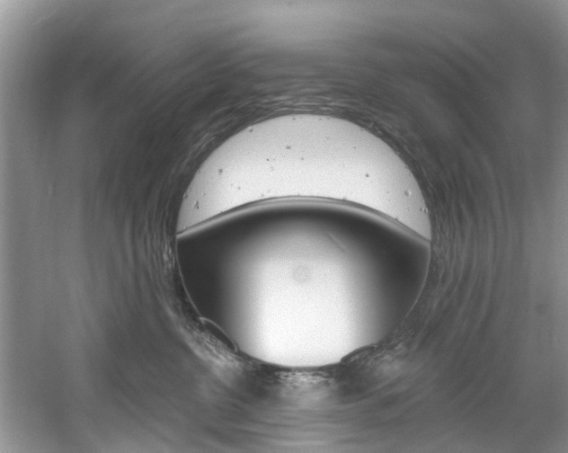 X0000061150380200511181039