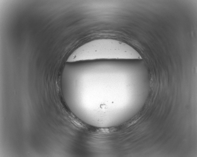 X0000061150381200511181039