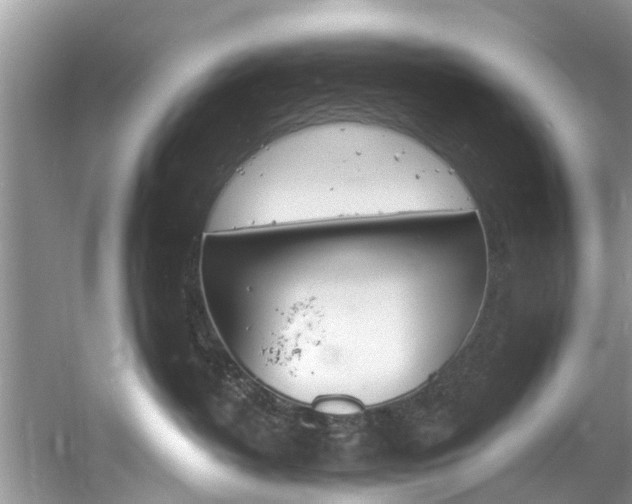 X0000061150382200511181039