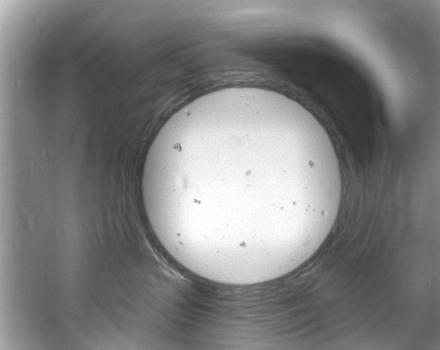 X0000061150383200511181039