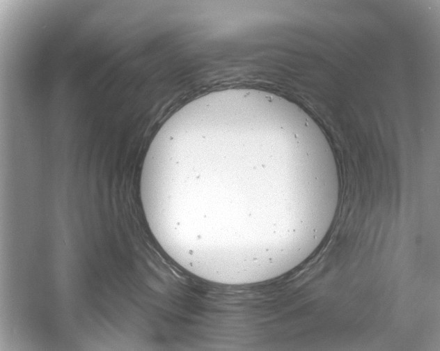 X0000061150384200511181039