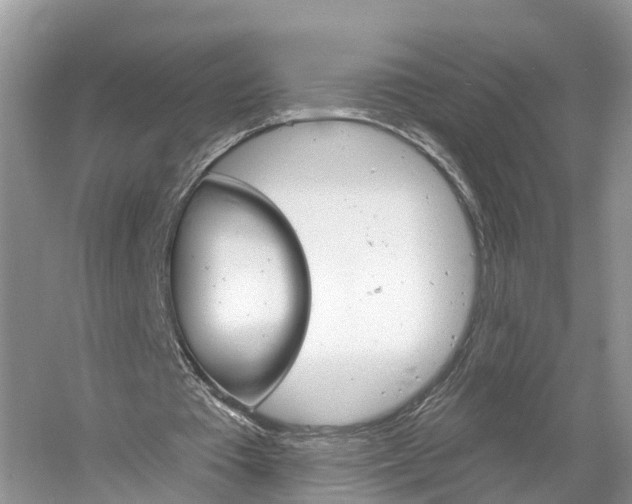 X0000061150385200511181038