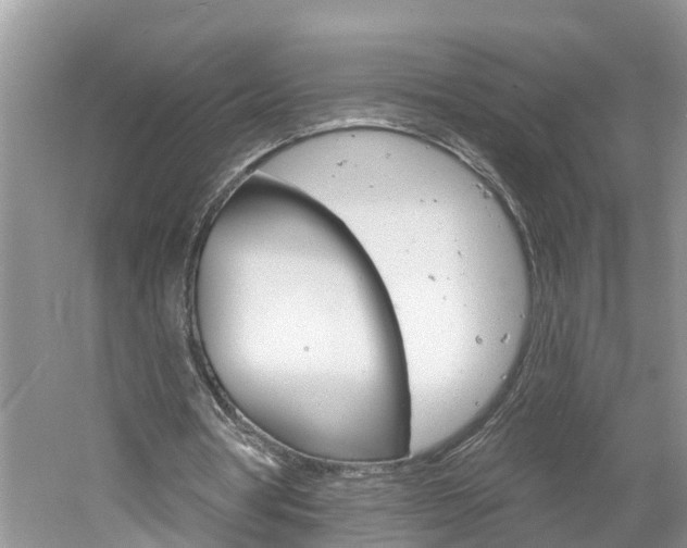 X0000061150386200511181038