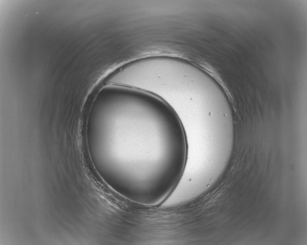 X0000061150387200511181038