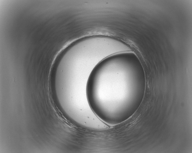 X0000061150388200511181038