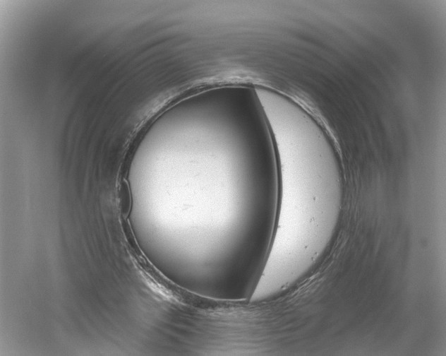 X0000061150389200511181038