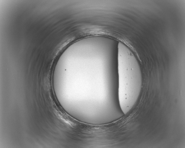 X0000061150390200511181038