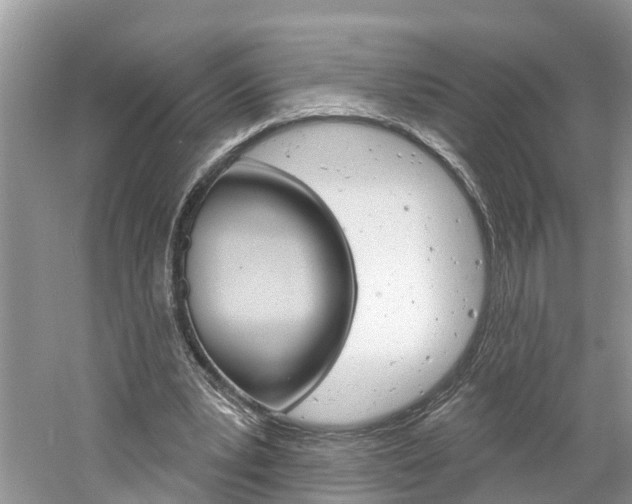 X0000061150391200511181038