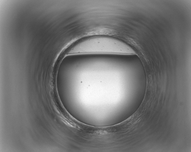 X0000061150392200511181038