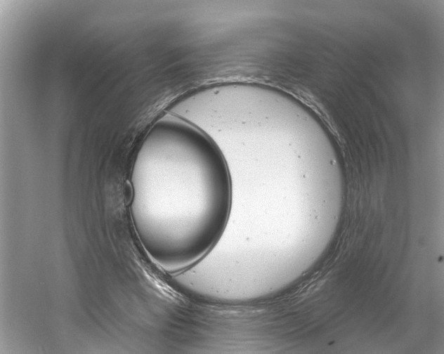 X0000061150393200511181038