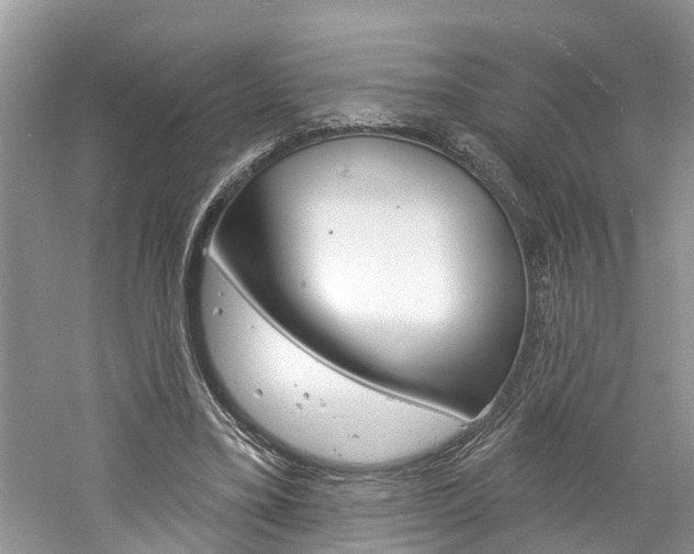 X0000061150395200511181038