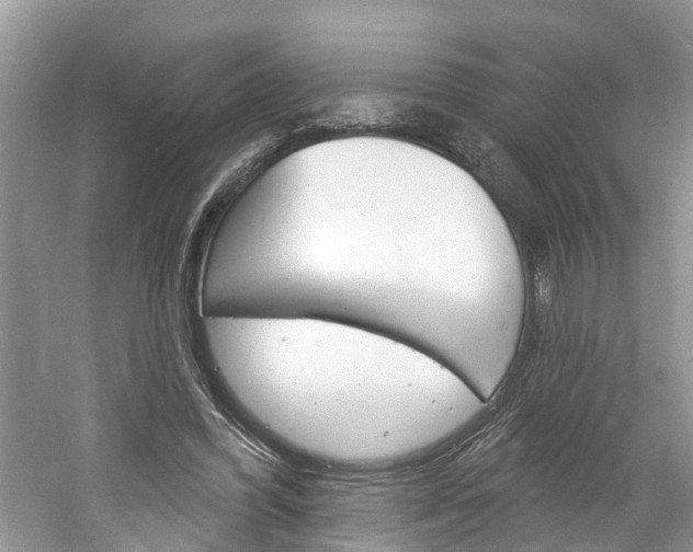 X0000061150396200511181038