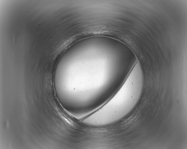 X0000061150397200511181038