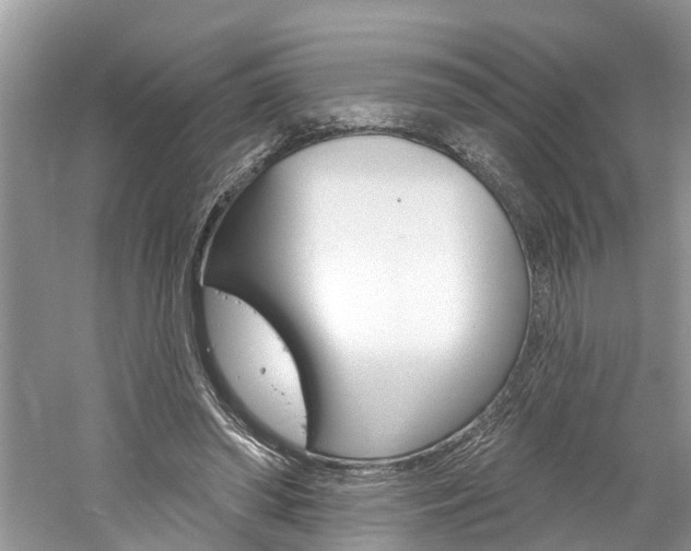 X0000061150398200511181038