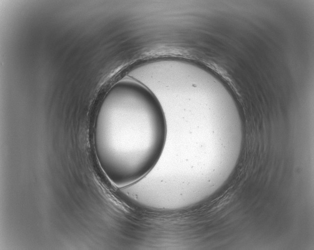 X0000061150399200511181038