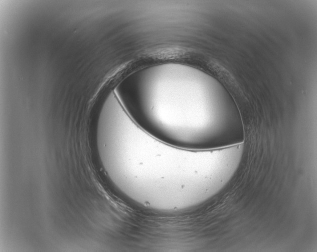 X0000061150400200511181038