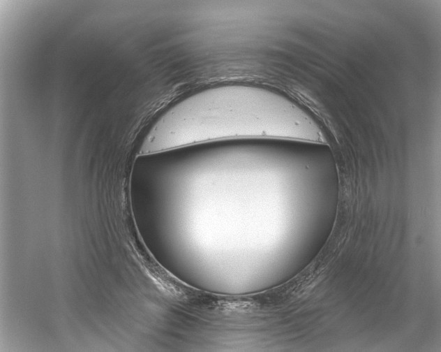 X0000061150401200511181038