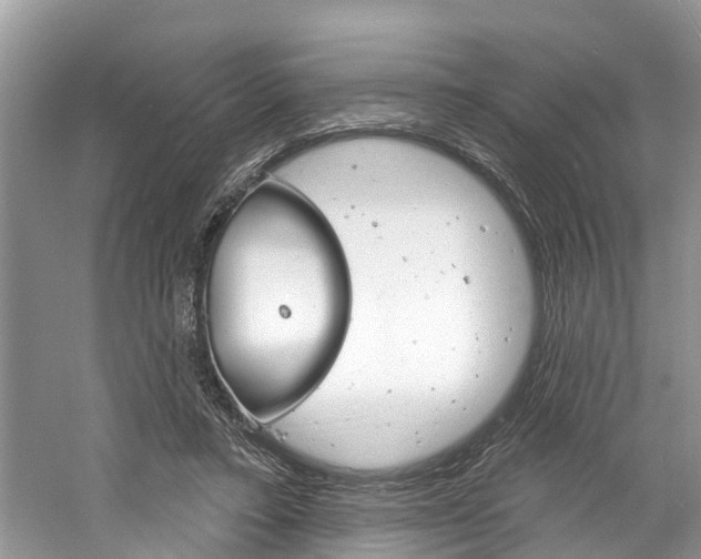 X0000061150403200511181038