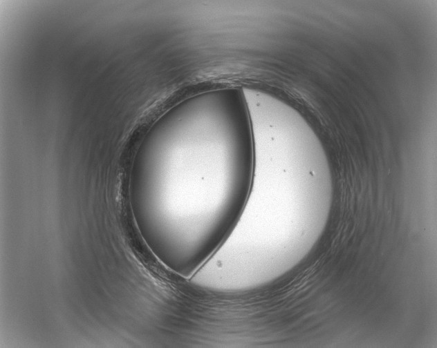 X0000061150404200511181038